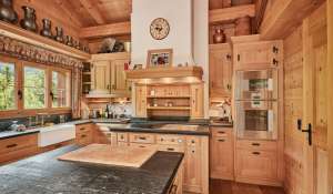 Location Appartement Gstaad