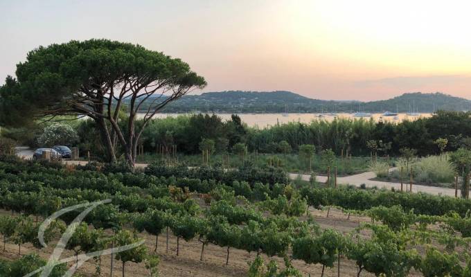 Location saisonnière Propriété Saint-Tropez