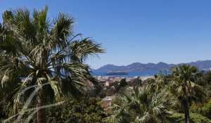 Vente Appartement Cannes