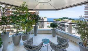 Vente Appartement Monaco