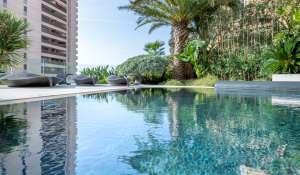 Vente Appartement Monaco