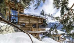 Vente Chalet Verbier