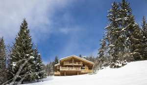 Vente Chalet Verbier