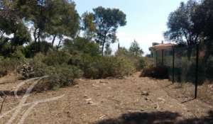 Vente Terrain constructible Cala Vinyes