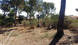 Vente Terrain constructible Cala Vinyes