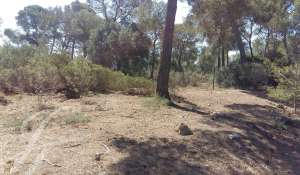 Vente Terrain constructible Cala Vinyes