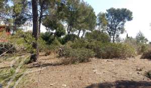 Vente Terrain constructible Cala Vinyes