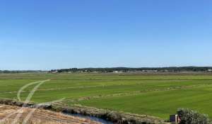 Vente Terrain Grândola