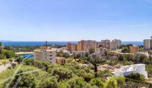 Vente Terrain Palma de Mallorca