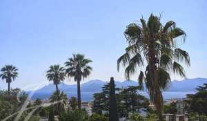 Vente Villa Cannes