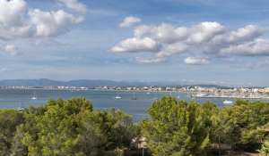 Vente Villa Palma de Mallorca